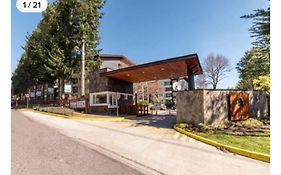 Lindo y Comodo Departamento Pucon